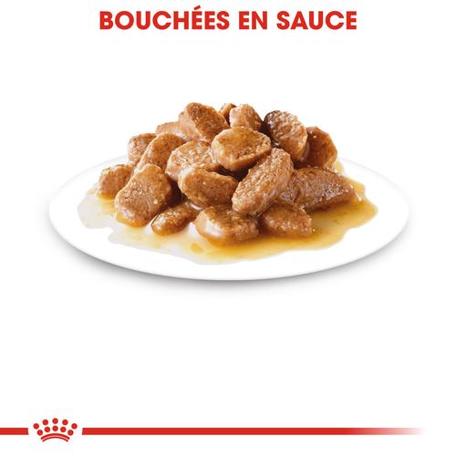 Visuel 4 du produit Pâtées pour chien senior de petite race en sauce Royal Canin Mini Ageing 12+ - 12 x 85 g