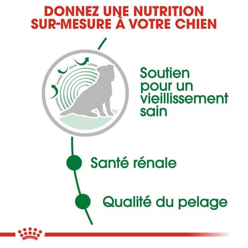 Visuel 6 du produit Pâtées pour chien senior de petite race en sauce Royal Canin Mini Ageing 12+ - 12 x 85 g