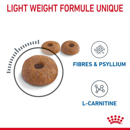 Visuel 4 du produit Croquettes pour chat adulte Royal Canin Light Weight Care - 3 kg