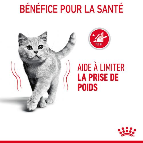 Visuel 6 du produit Croquettes pour chat adulte Royal Canin Light Weight Care - 3 kg
