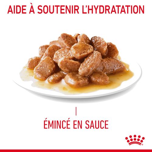 Visuel 4 du produit Pâtées pour chat en gelée Royal Canin Appetite Control Care - 12 x 85 g