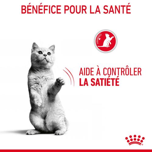 Visuel 7 du produit Pâtées pour chat en gelée Royal Canin Appetite Control Care - 12 x 85 g