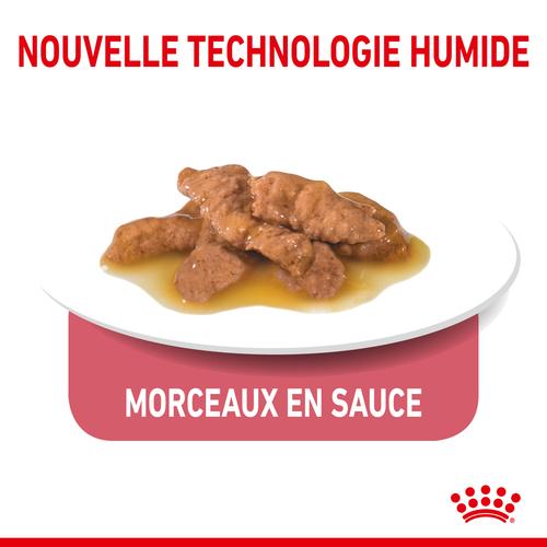 Visuel 5 du produit Pâtée pour chat d’intérieur stérilisé en sauce Royal Canin - 12 x 85 g