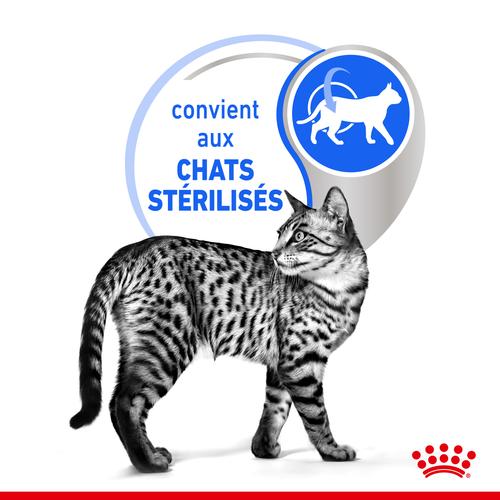 Visuel 7 du produit Pâtée pour chat d’intérieur stérilisé en sauce Royal Canin - 12 x 85 g