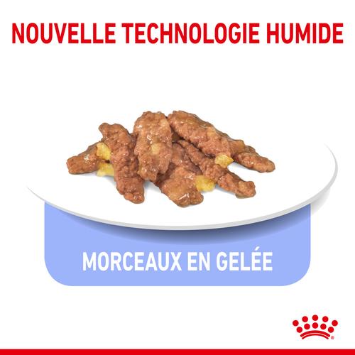 Visuel 4 du produit Pâtée pour chat d’intérieur stérilisé en gelée Royal Canin - 12 x 85 g
