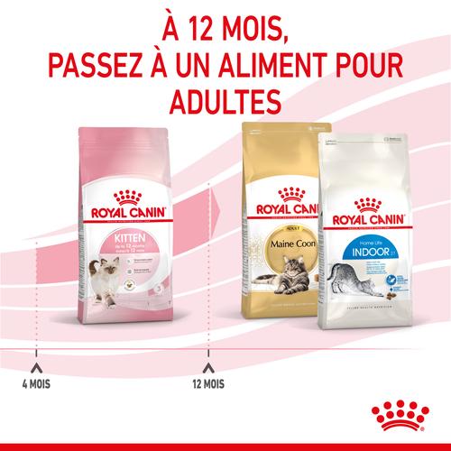 Visuel 4 du produit Croquettes pour chaton Royal Canin Kitten Croissance - 2 kg