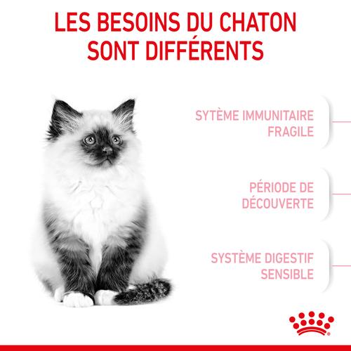 Visuel 5 du produit Croquettes pour chaton Royal Canin Kitten Croissance - 2 kg