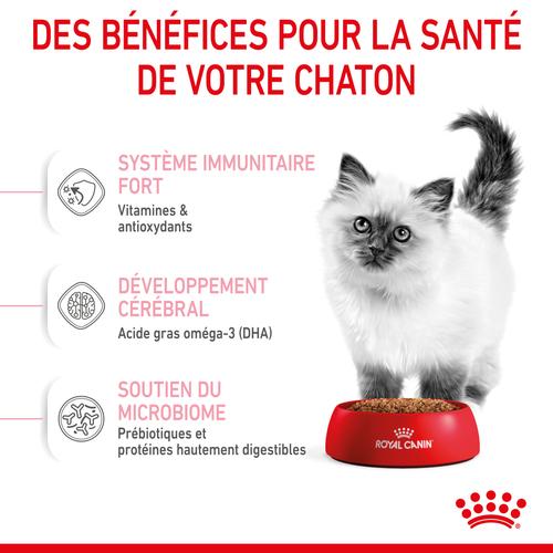 Visuel 6 du produit Croquettes pour chaton Royal Canin Kitten Croissance - 2 kg