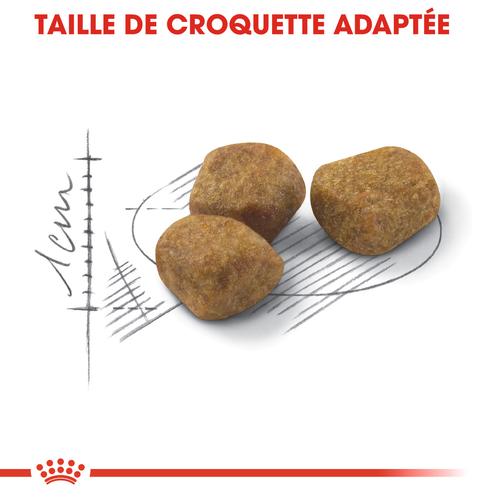 Visuel 3 du produit Croquettes pour chat adulte avec une activité modérée et accès à l’extérieur Royal Canin Fit 32 - 4 kg