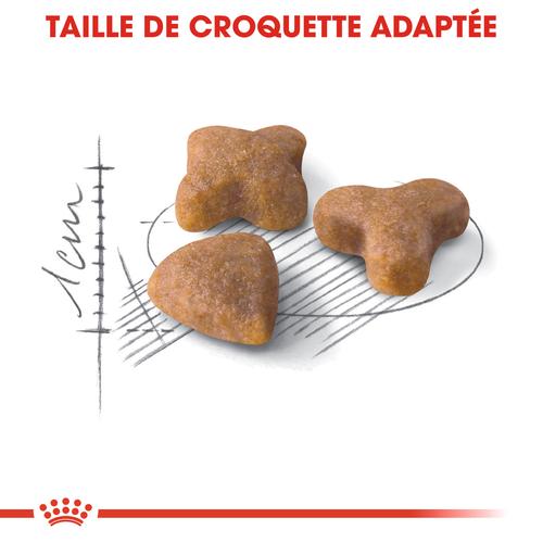 Visuel 4 du produit Croquettes pour chat adulte avec une sensibilité digestive Royal Canin Sensible 33 - 2 kg