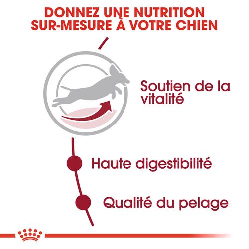 Visuel 6 du produit Croquettes pour chien adulte de taille moyenne Royal Canin Medium Adult +7 - 15 kg