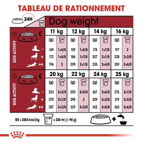 Visuel 8 du produit Croquettes pour chien adulte de taille moyenne Royal Canin Medium Adult +7 - 15 kg