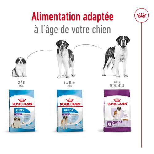 Visuel 6 du produit Croquettes pour chien adulte de grande taille Royal Canin Giant Adult - 15 kg