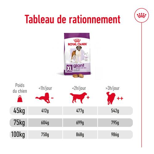 Visuel 7 du produit Croquettes pour chien adulte de grande taille Royal Canin Giant Adult - 15 kg