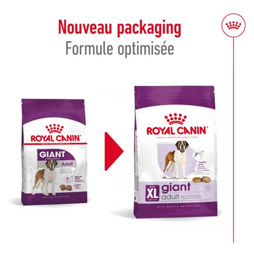 Visuel 9 du produit Croquettes pour chien adulte de grande taille Royal Canin Giant Adult - 15 kg