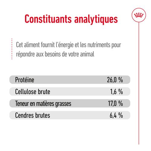 Visuel 11 du produit Croquettes pour chien adulte de grande taille Royal Canin Maxi Adult 5+ - 15 kg