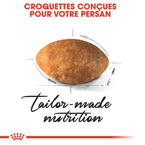 Visuel 3 du produit Croquettes pour chat adulte Persan Royal Canin Persian Adult - 4 kg