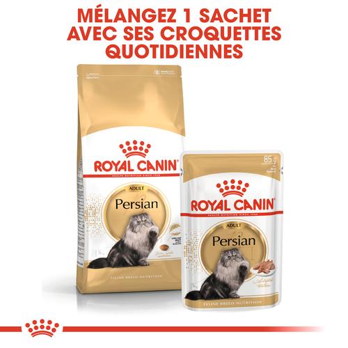 Visuel 4 du produit Croquettes pour chat adulte Persan Royal Canin Persian Adult - 4 kg