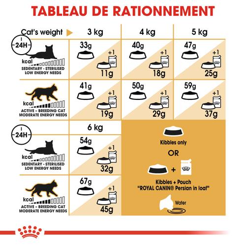 Visuel 6 du produit Croquettes pour chat adulte Persan Royal Canin Persian Adult - 4 kg