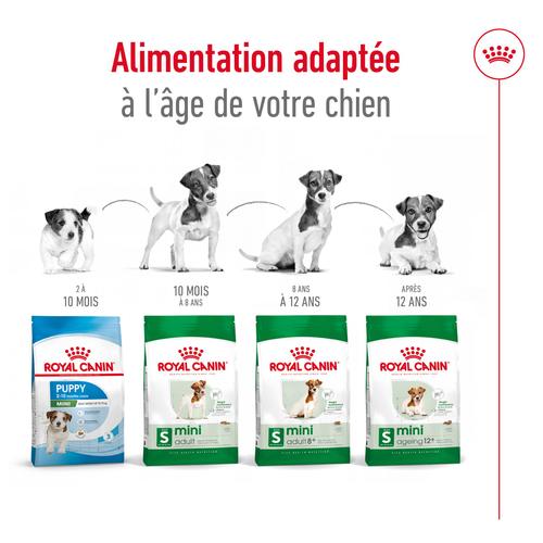 Visuel 5 du produit Croquettes pour chien senior de petite taille Royal Canin Mini Ageing 12+ - 3,5 kg