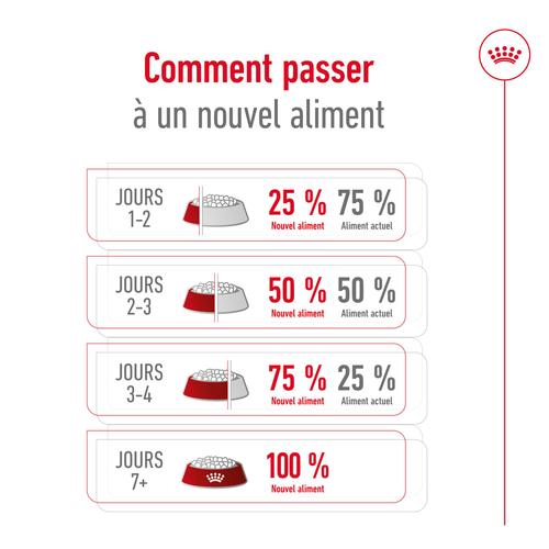 Visuel 8 du produit Croquettes pour chien senior de petite taille Royal Canin Mini Ageing 12+ - 3,5 kg