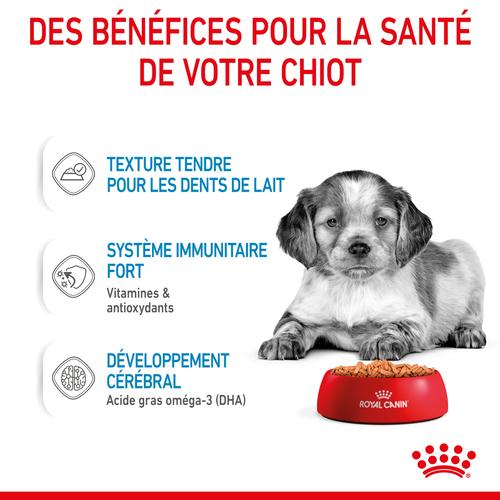 Visuel 4 du produit Pâtées pour chiot de taille moyenne Royal Canin Medium Puppy - 10 x 140 g