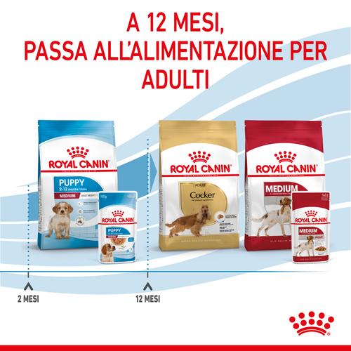 Visuel 5 du produit Pâtées pour chiot de taille moyenne Royal Canin Medium Puppy - 10 x 140 g