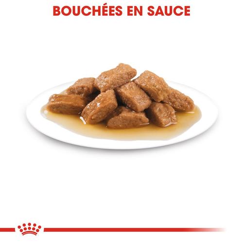 Visuel 3 du produit Pâtées pour chien adulte de taille moyenne Royal Canin Medium Adult - 10 x 140 g