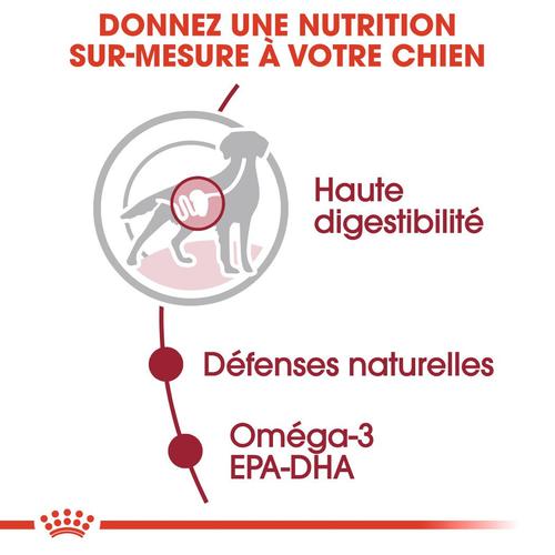 Visuel 4 du produit Pâtées pour chien adulte de taille moyenne Royal Canin Medium Adult - 10 x 140 g