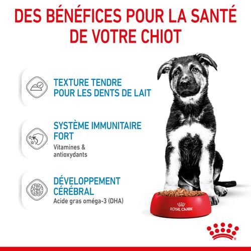 Visuel 5 du produit Pâtées pour chiot de grande race Royal Canin Maxi Puppy - 10 x 140 g