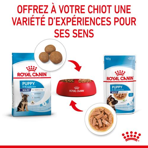 Visuel 6 du produit Pâtées pour chiot de grande race Royal Canin Maxi Puppy - 10 x 140 g