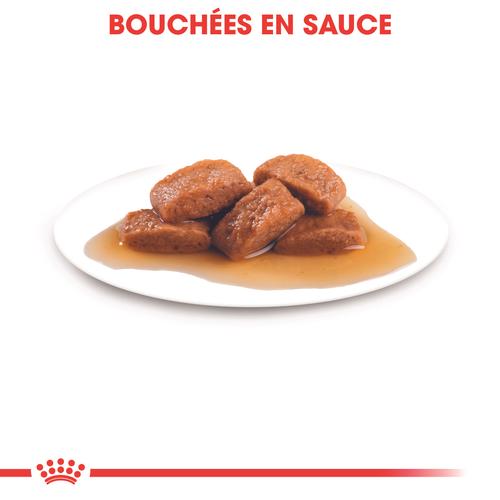 Visuel 3 du produit Pâtées pour chien adulte de grande race Royal Canin Maxi Adult - 10 x 140 g