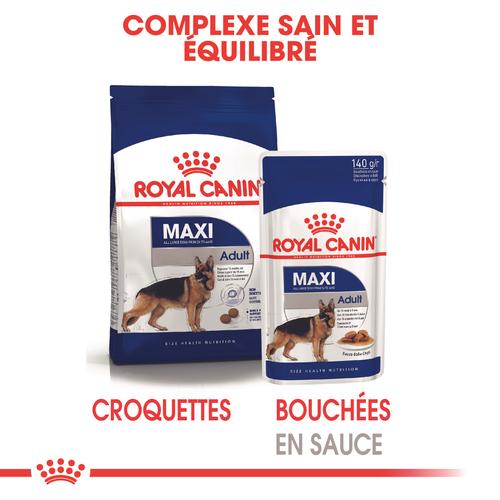 Visuel 4 du produit Pâtées pour chien adulte de grande race Royal Canin Maxi Adult - 10 x 140 g