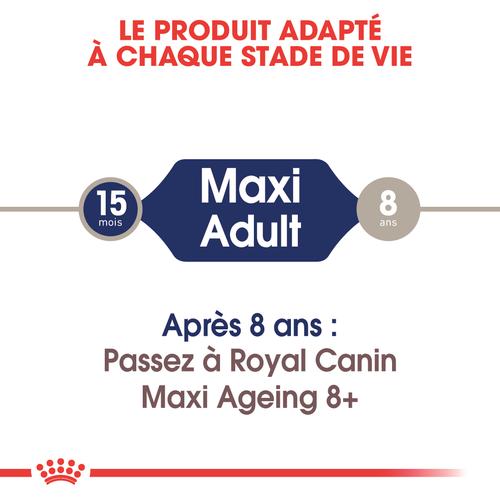 Visuel 6 du produit Pâtées pour chien adulte de grande race Royal Canin Maxi Adult - 10 x 140 g