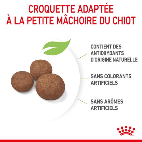 Visuel 3 du produit Croquettes pour chiot de taille moyenne Royal Canin Medium Junior - 3 kg