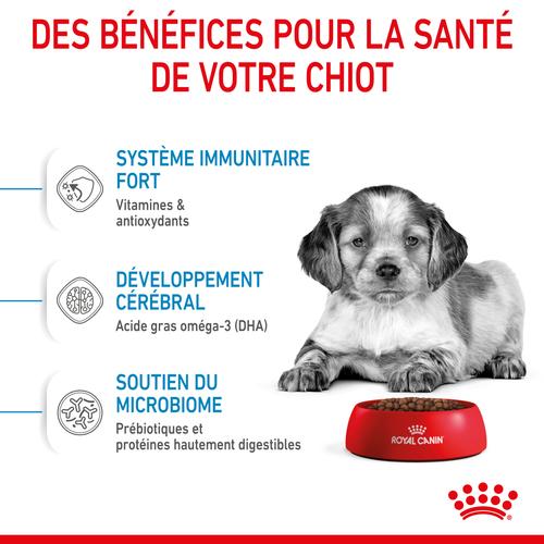 Visuel 4 du produit Croquettes pour chiot de taille moyenne Royal Canin Medium Junior - 3 kg