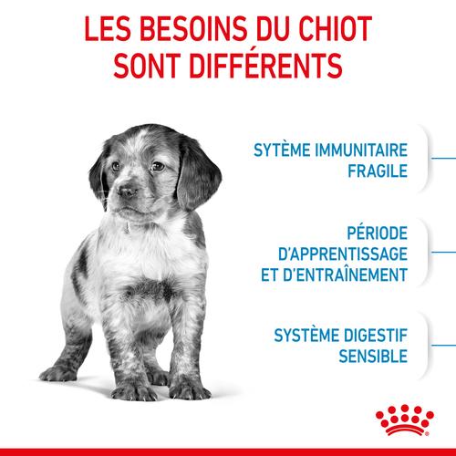 Visuel 5 du produit Croquettes pour chiot de taille moyenne Royal Canin Medium Junior - 3 kg