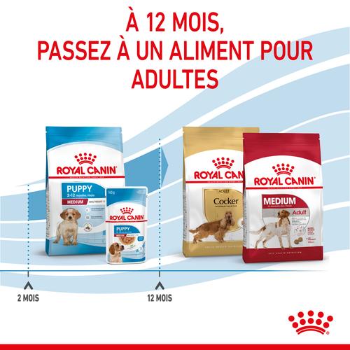 Visuel 6 du produit Croquettes pour chiot de taille moyenne Royal Canin Medium Junior - 3 kg