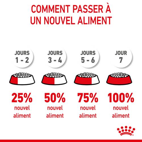 Visuel 7 du produit Croquettes pour chiot de taille moyenne Royal Canin Medium Junior - 3 kg