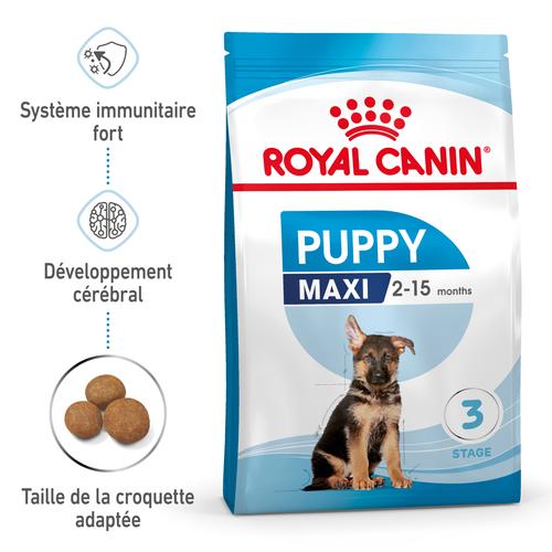 Visuel 2 du produit Croquettes pour chiot de grande race Royal Canin Maxi Junior - 12 kg
