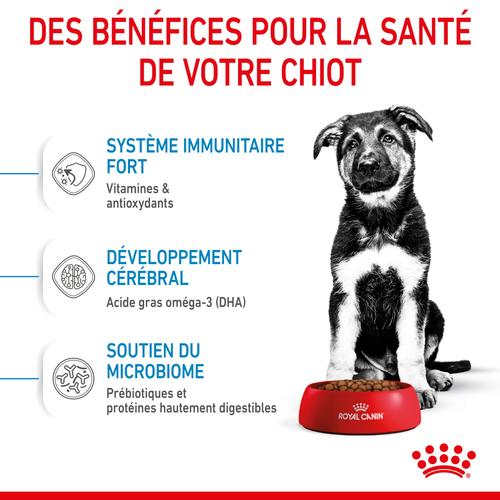 Visuel 3 du produit Croquettes pour chiot de grande race Royal Canin Maxi Junior - 12 kg