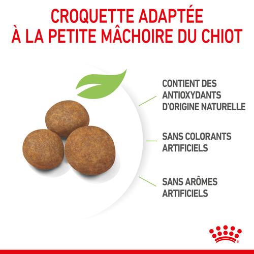 Visuel 5 du produit Croquettes pour chiot de grande race Royal Canin Maxi Junior - 12 kg