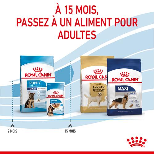 Visuel 6 du produit Croquettes pour chiot de grande race Royal Canin Maxi Junior - 12 kg