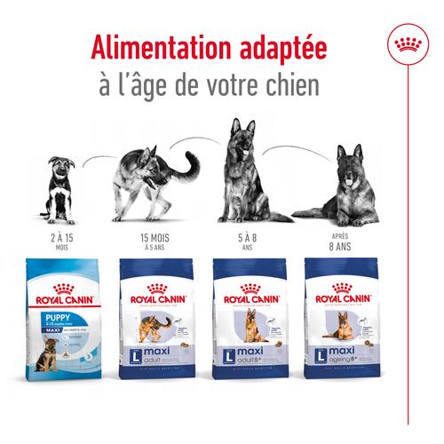 Visuel 5 du produit Croquettes pour chien adulte de grande race Royal Canin Maxi Adult - 12 kg