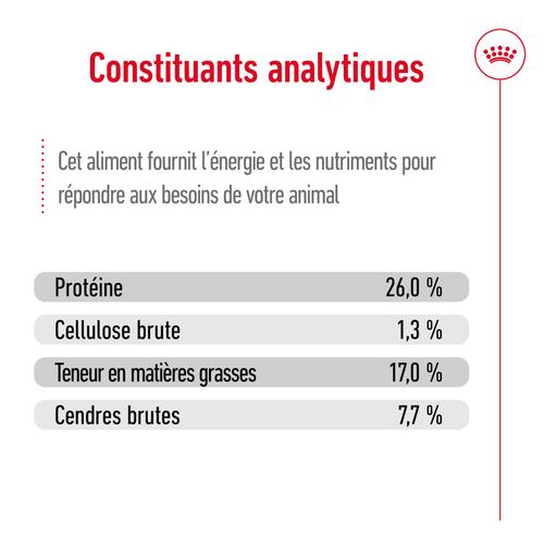 Visuel 11 du produit Croquettes pour chien adulte de grande race Royal Canin Maxi Adult - 12 kg