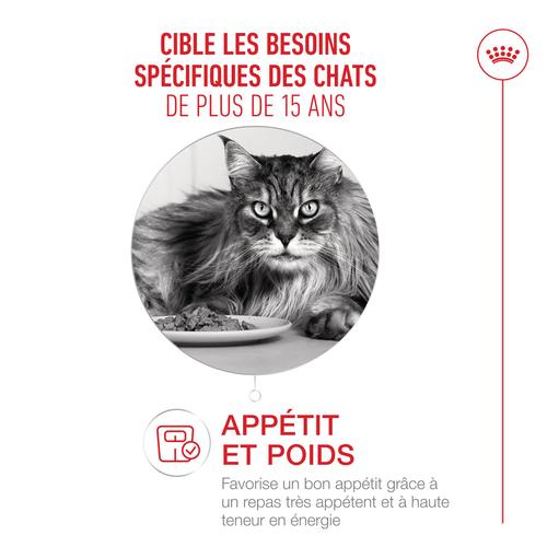 Visuel 2 du produit Croquettes pour chat Royal Feline Ageing 15+ petit sac - 400 g