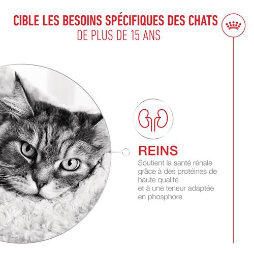 Visuel 3 du produit Croquettes pour chat Royal Feline Ageing 15+ petit sac - 400 g