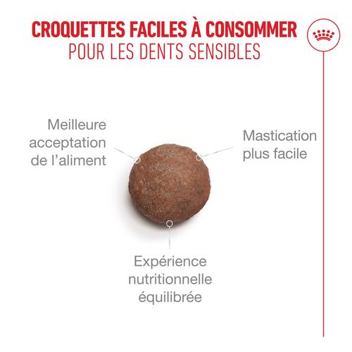 Visuel 4 du produit Croquettes pour chat Royal Feline Ageing 15+ petit sac - 400 g