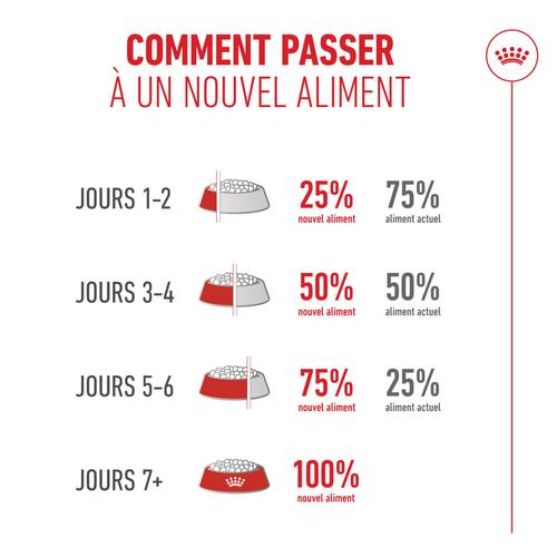 Visuel 8 du produit Croquettes pour chat Royal Feline Ageing 15+ petit sac - 400 g