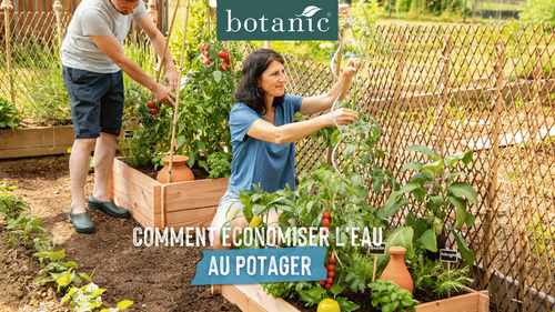 Conseils vidéo botanic® economiser l'eau au potager